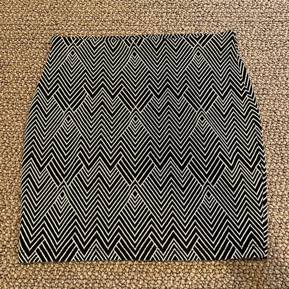 ZARA Skirt